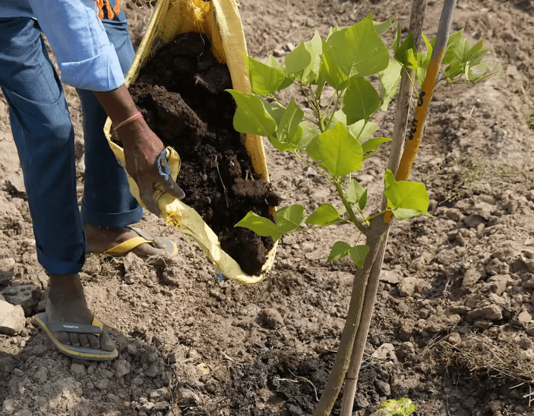 Energy & Emissions Intensity